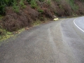 Yoncalla Drain Oregon Eagle Valley Volunteer Clean up February 8 2015
