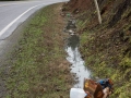 Yoncalla Drain Oregon Eagle Valley Volunteer Clean up February 8 2015