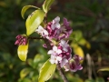 DSC03569