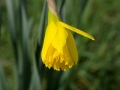 DSC03570