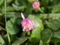 DSC03573