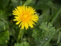 DSC03576