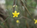 DSC03579