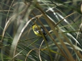 DSC04083